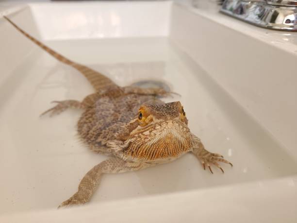 Soaking